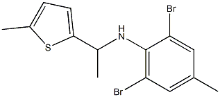 2,6-dibromo-4-methyl-N-[1-(5-methylthiophen-2-yl)ethyl]aniline Struktur