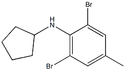 2,6-dibromo-N-cyclopentyl-4-methylaniline Struktur