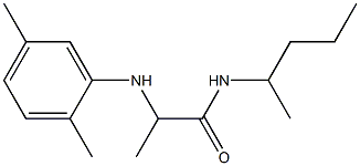 2-[(2,5-dimethylphenyl)amino]-N-(pentan-2-yl)propanamide Struktur