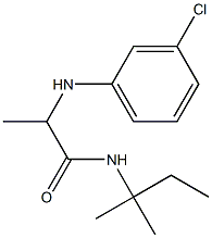 2-[(3-chlorophenyl)amino]-N-(2-methylbutan-2-yl)propanamide Struktur