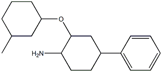 2-[(3-methylcyclohexyl)oxy]-4-phenylcyclohexan-1-amine Struktur