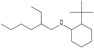 2-tert-butyl-N-(2-ethylhexyl)cyclohexan-1-amine Struktur