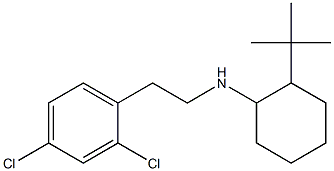 2-tert-butyl-N-[2-(2,4-dichlorophenyl)ethyl]cyclohexan-1-amine Struktur