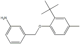 3-(2-tert-butyl-4-methylphenoxymethyl)aniline Struktur