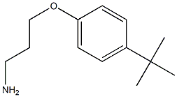 3-(4-tert-butylphenoxy)propan-1-amine Struktur