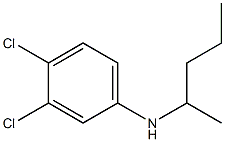 3,4-dichloro-N-(pentan-2-yl)aniline Struktur