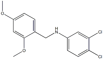 3,4-dichloro-N-[(2,4-dimethoxyphenyl)methyl]aniline Struktur