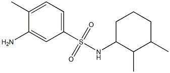 3-amino-N-(2,3-dimethylcyclohexyl)-4-methylbenzene-1-sulfonamide Struktur