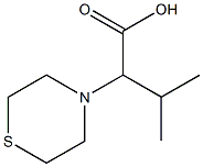 3-methyl-2-(thiomorpholin-4-yl)butanoic acid Structure