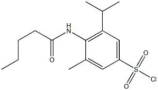 3-methyl-4-pentanamido-5-(propan-2-yl)benzene-1-sulfonyl chloride Struktur