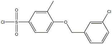 4-[(3-chlorophenyl)methoxy]-3-methylbenzene-1-sulfonyl chloride Struktur