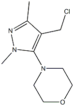 4-[4-(chloromethyl)-1,3-dimethyl-1H-pyrazol-5-yl]morpholine Struktur