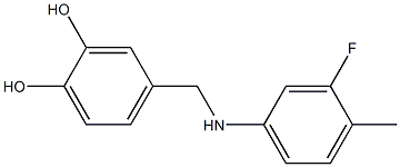 4-{[(3-fluoro-4-methylphenyl)amino]methyl}benzene-1,2-diol Struktur