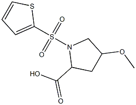 4-methoxy-1-(thien-2-ylsulfonyl)pyrrolidine-2-carboxylic acid Struktur