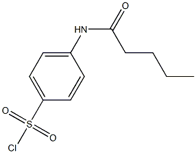 4-pentanamidobenzene-1-sulfonyl chloride Struktur