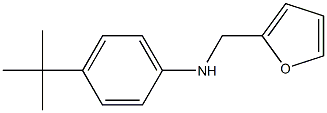 4-tert-butyl-N-(furan-2-ylmethyl)aniline Struktur