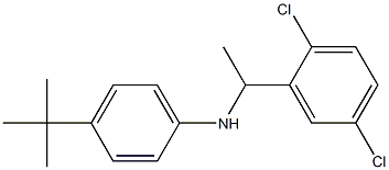 4-tert-butyl-N-[1-(2,5-dichlorophenyl)ethyl]aniline Struktur