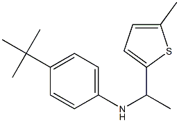 4-tert-butyl-N-[1-(5-methylthiophen-2-yl)ethyl]aniline Struktur