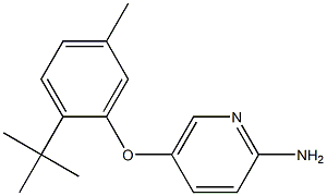 5-(2-tert-butyl-5-methylphenoxy)pyridin-2-amine Struktur