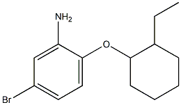 5-bromo-2-[(2-ethylcyclohexyl)oxy]aniline Struktur