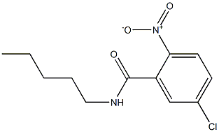 5-chloro-2-nitro-N-pentylbenzamide Struktur