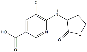 5-chloro-6-[(2-oxooxolan-3-yl)amino]pyridine-3-carboxylic acid Struktur