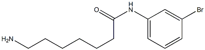 7-amino-N-(3-bromophenyl)heptanamide Struktur