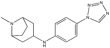 8-methyl-N-[4-(1H-1,2,3,4-tetrazol-1-yl)phenyl]-8-azabicyclo[3.2.1]octan-3-amine Struktur