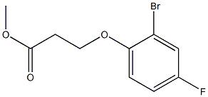 methyl 3-(2-bromo-4-fluorophenoxy)propanoate Struktur