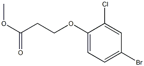 methyl 3-(4-bromo-2-chlorophenoxy)propanoate Struktur