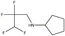 N-(2,2,3,3-tetrafluoropropyl)cyclopentanamine Struktur