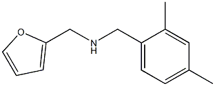 N-(2,4-dimethylbenzyl)-N-(2-furylmethyl)amine Struktur