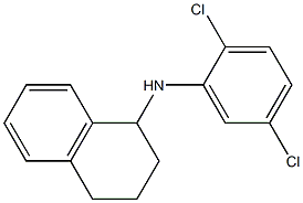 N-(2,5-dichlorophenyl)-1,2,3,4-tetrahydronaphthalen-1-amine Struktur