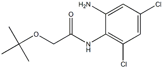 N-(2-amino-4,6-dichlorophenyl)-2-(tert-butoxy)acetamide Struktur