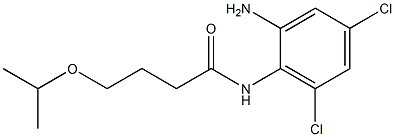 N-(2-amino-4,6-dichlorophenyl)-4-(propan-2-yloxy)butanamide Struktur