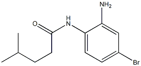 N-(2-amino-4-bromophenyl)-4-methylpentanamide Struktur