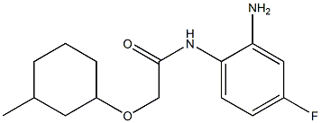 N-(2-amino-4-fluorophenyl)-2-[(3-methylcyclohexyl)oxy]acetamide Struktur