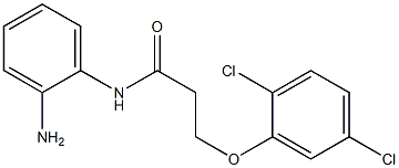 N-(2-aminophenyl)-3-(2,5-dichlorophenoxy)propanamide Struktur