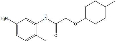 N-(5-amino-2-methylphenyl)-2-[(4-methylcyclohexyl)oxy]acetamide Struktur