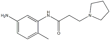 N-(5-amino-2-methylphenyl)-3-pyrrolidin-1-ylpropanamide Struktur