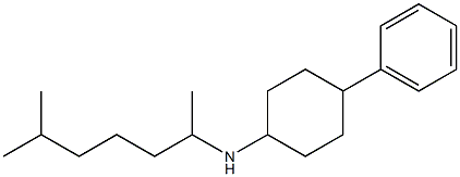 N-(6-methylheptan-2-yl)-4-phenylcyclohexan-1-amine Struktur