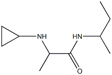 N-(butan-2-yl)-2-(cyclopropylamino)propanamide Struktur