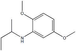 N-(butan-2-yl)-2,5-dimethoxyaniline Struktur