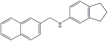 N-(naphthalen-2-ylmethyl)-2,3-dihydro-1H-inden-5-amine Struktur