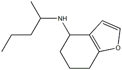 N-(pentan-2-yl)-4,5,6,7-tetrahydro-1-benzofuran-4-amine Struktur