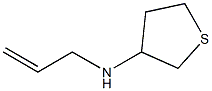 N-(prop-2-en-1-yl)thiolan-3-amine Struktur