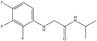 N-(propan-2-yl)-2-[(2,3,4-trifluorophenyl)amino]acetamide Struktur