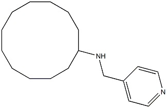 N-(pyridin-4-ylmethyl)cyclododecanamine Struktur