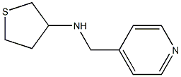 N-(pyridin-4-ylmethyl)thiolan-3-amine Struktur