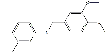  化學(xué)構(gòu)造式